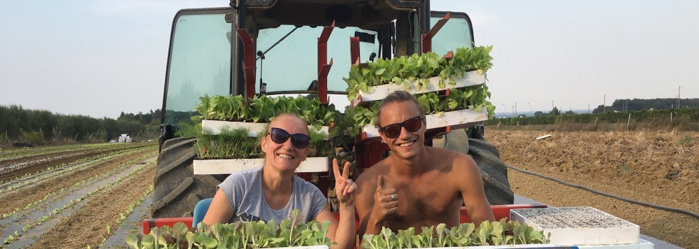 La famiglia Mengozzi in campo